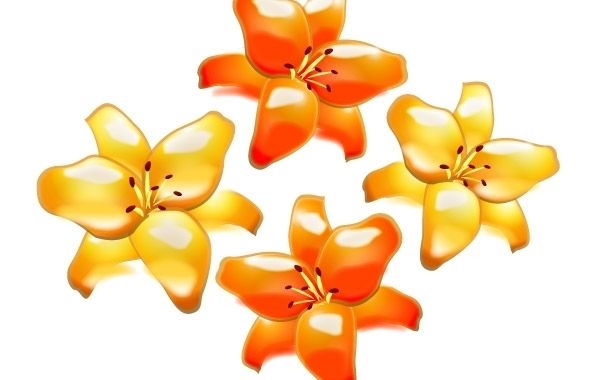 Gelbe und orange Blumen