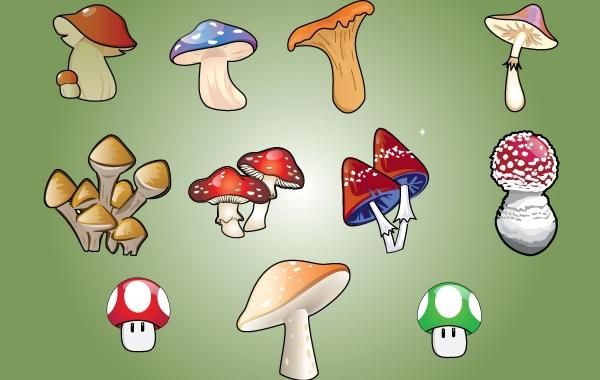Vector Mushroom Vector Mushroom