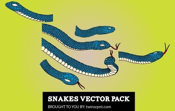 Schlangenpackung Blau