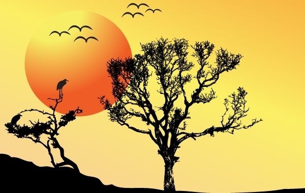 Ilustração das árvores do pôr do sol