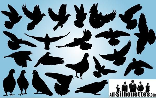 Pigeon Pack Symbol of Peace Pigeon Pack Symbol of Peace