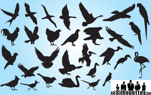 Silhouette Bird Pack Silhouette Bird Pack