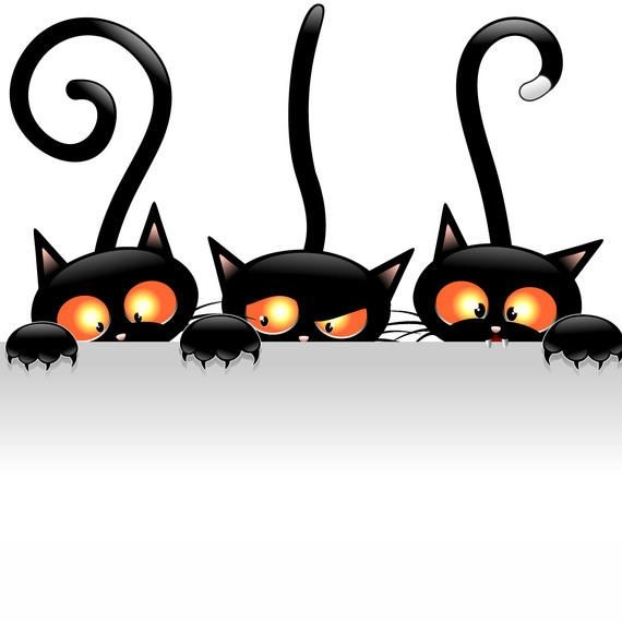 https://images.vexels.com/media/users/2422/71858/preview2/1a0f8e41b1470193725b9d31dee0a327-creepy-halloween-cats-holding-blank-banner.jpg