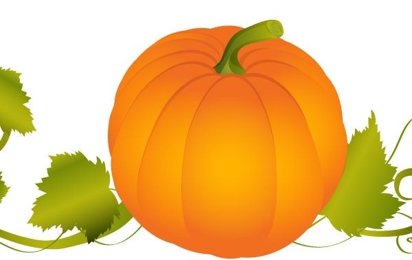 Pumpkin With Vines Vector - Vector download