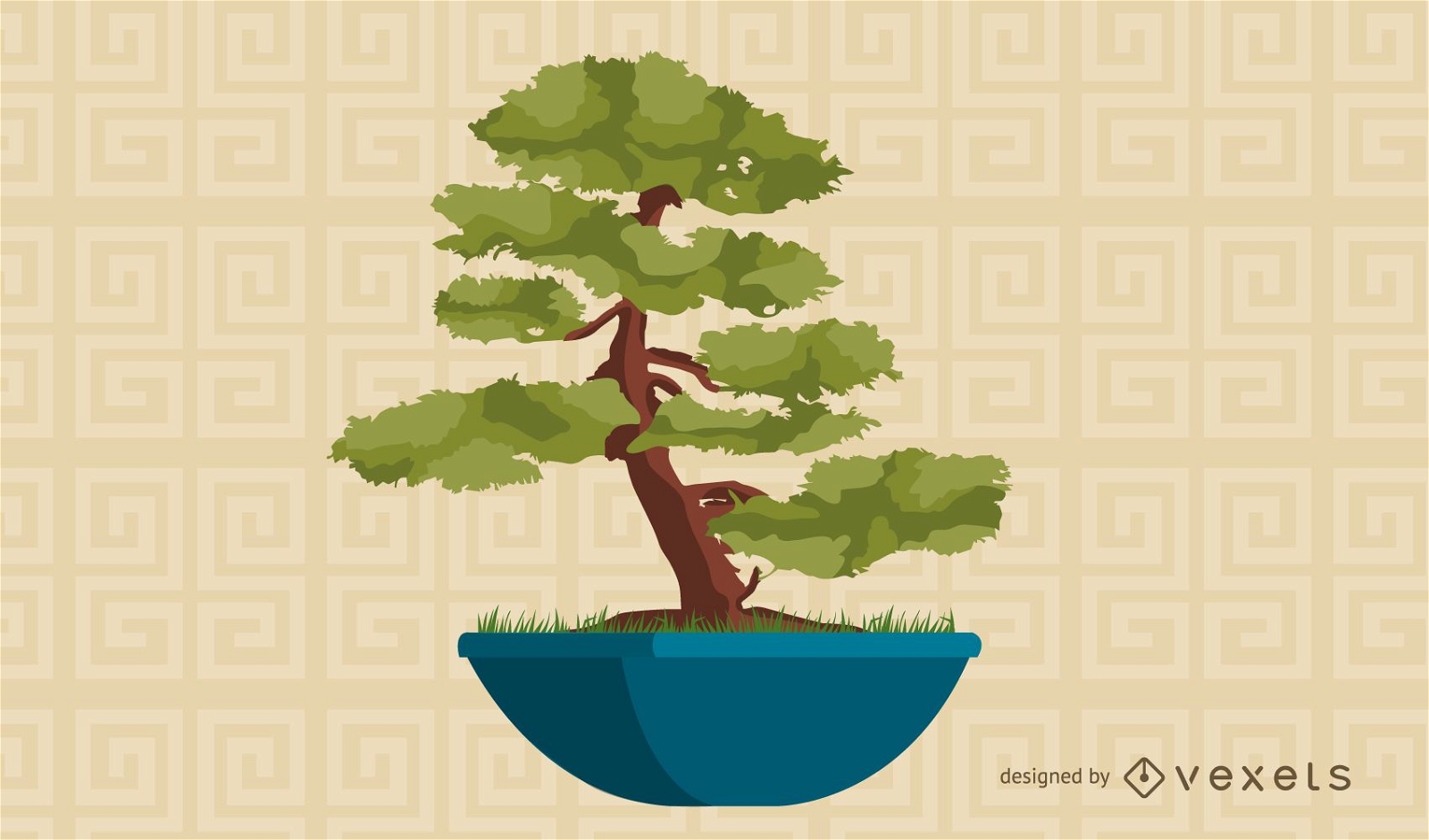 Asian bonsai tree illustration