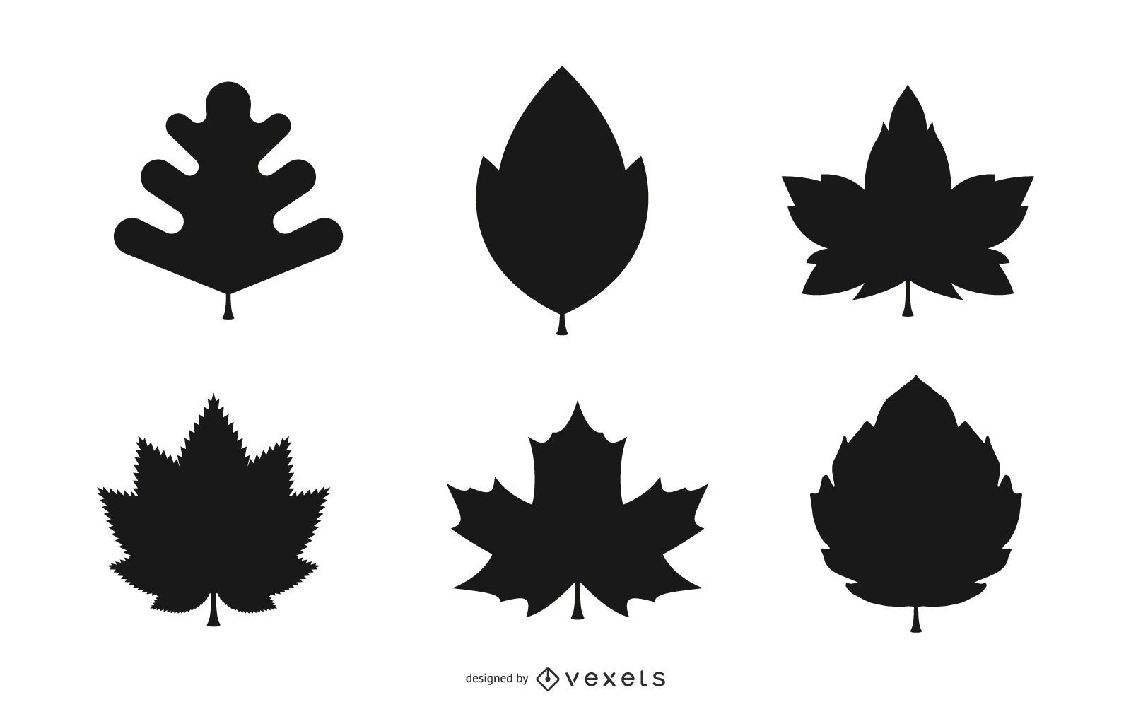 Autumn leaves silhouette set in black