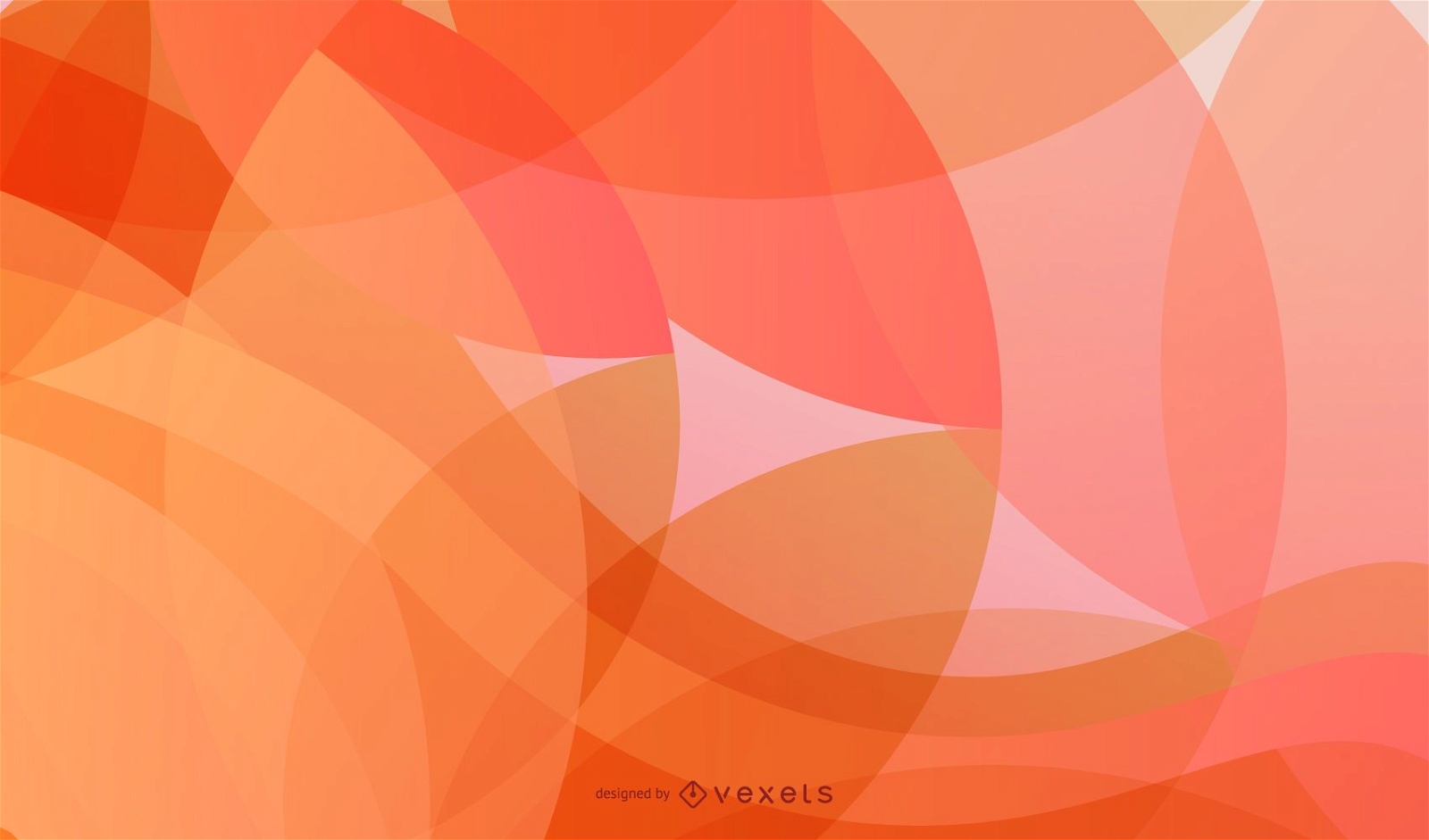 Abstract Waves and Circles Vector Background