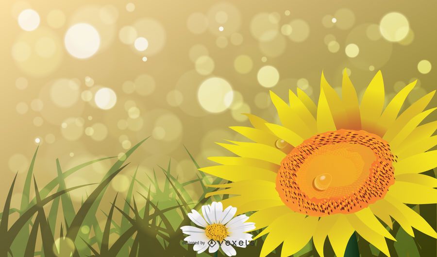 Spring or Summer Abstract Background with Bokeh Lights Spring or Summer Abstract Background with Bokeh Lights