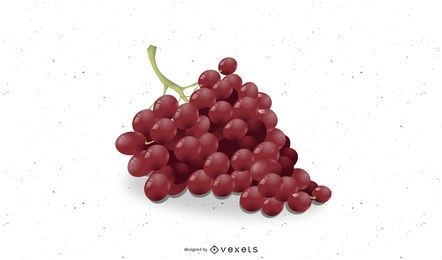 Ilustración realista de racimo de uva