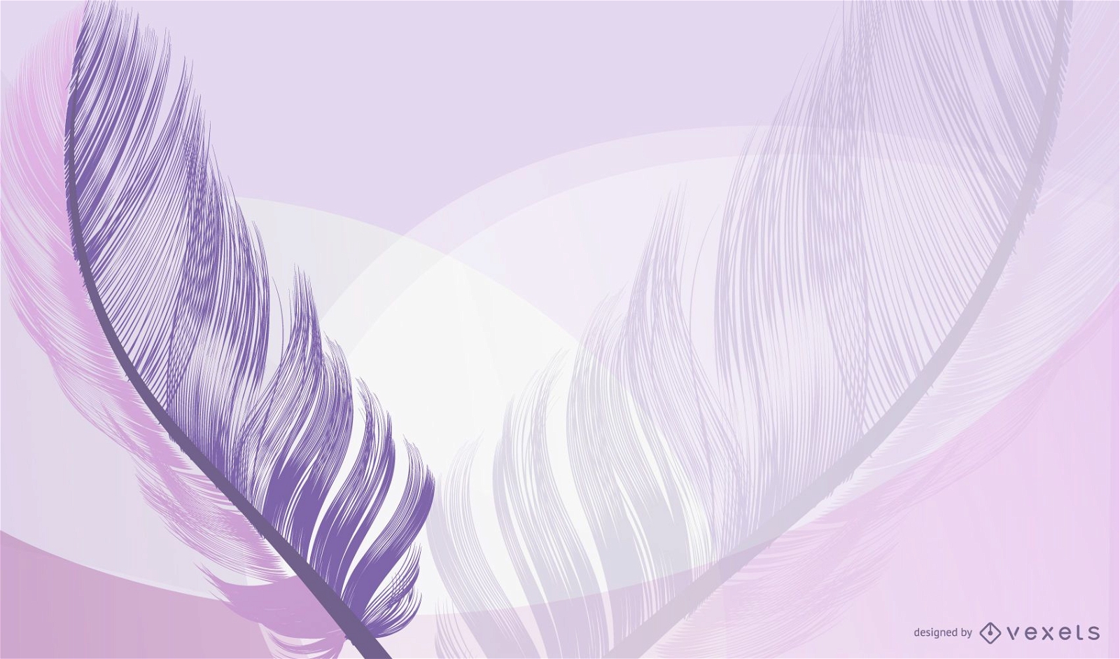 Lavender Feathers Background