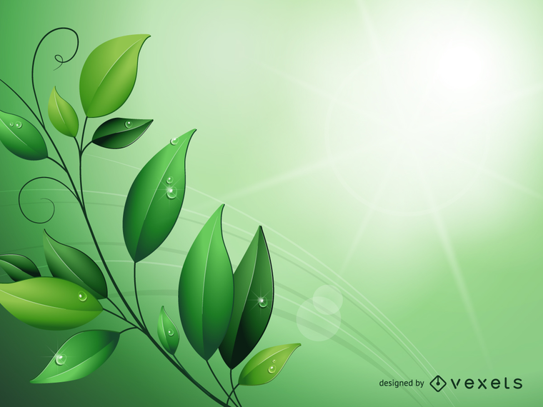 Fundo de folhas verdes mágicas Fundo de folhas verdes mágicas