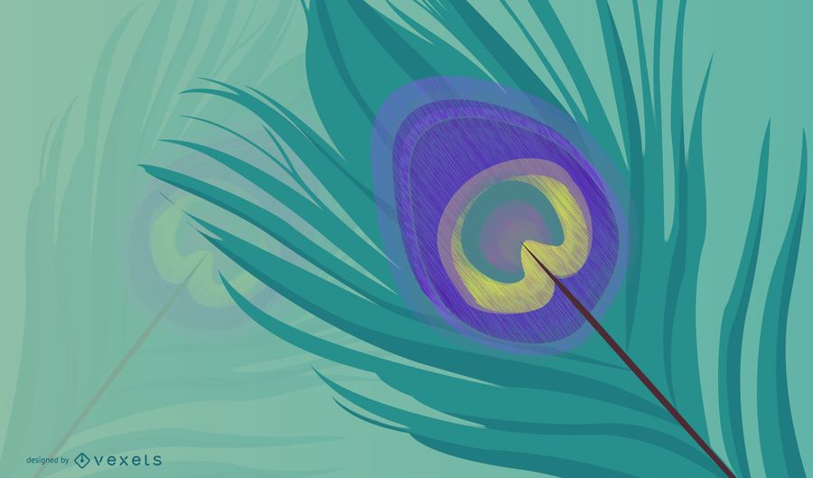 Peacock Feather Lines 2 Peacock Feather Lines 2