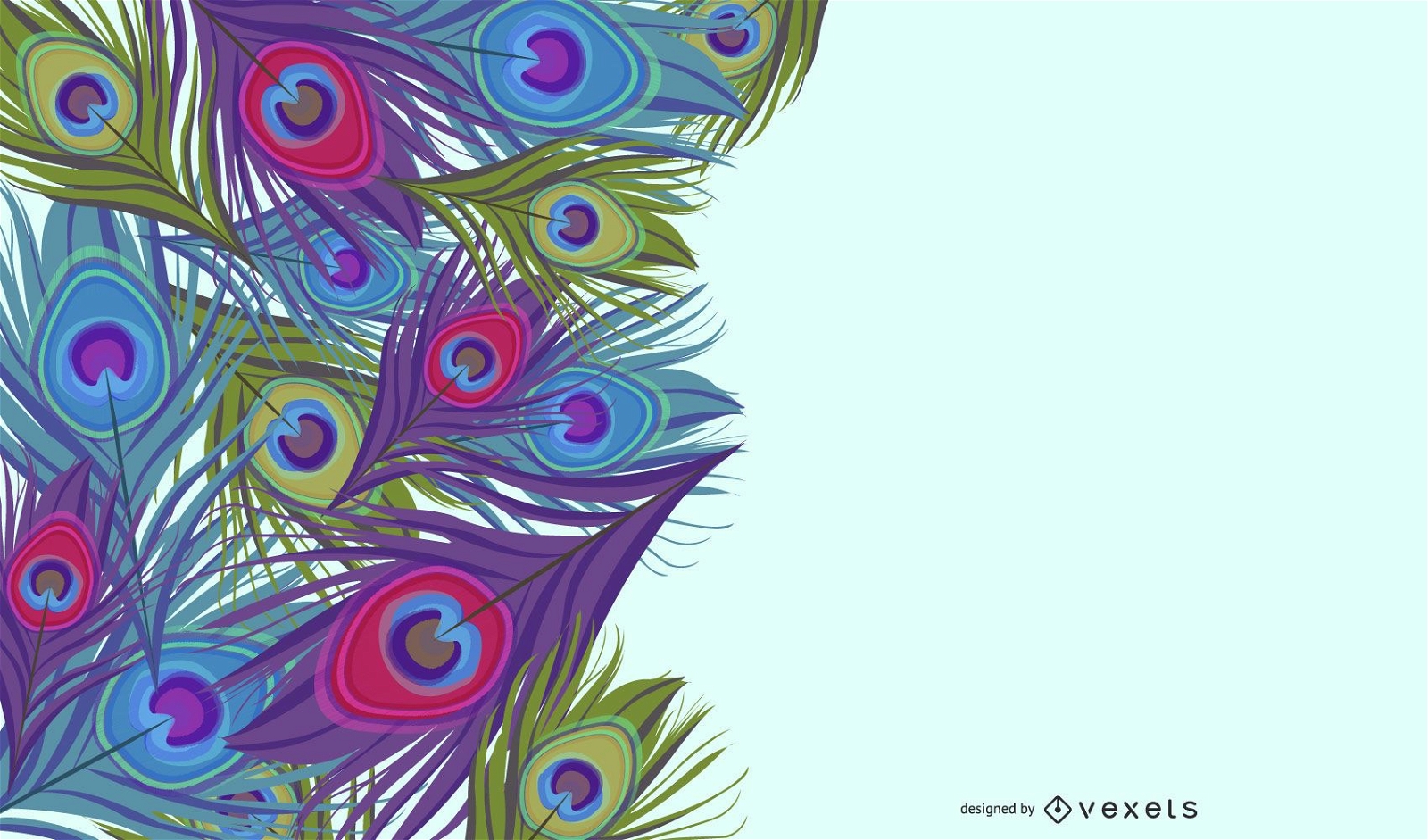 Colorful peacock feathers background design