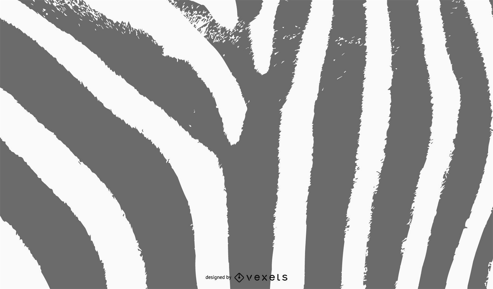 Fundo De Zebra
