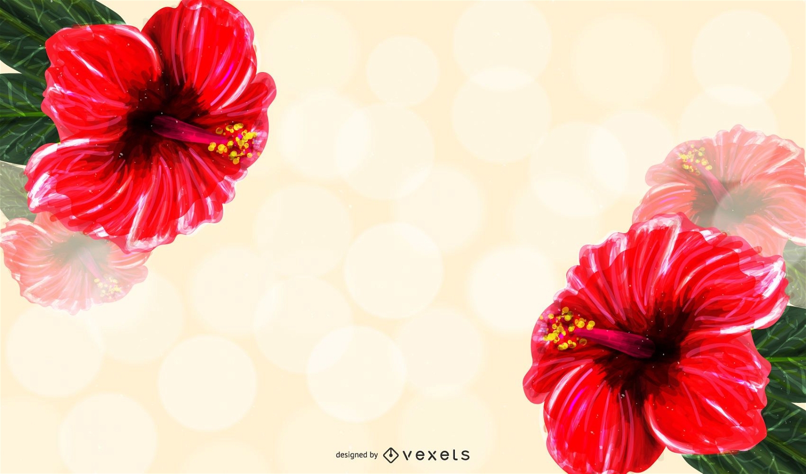 Hibiscus Illustration Background Design
