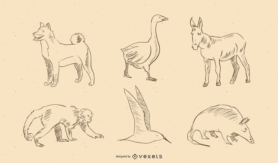 Vector de animales Vector de animales