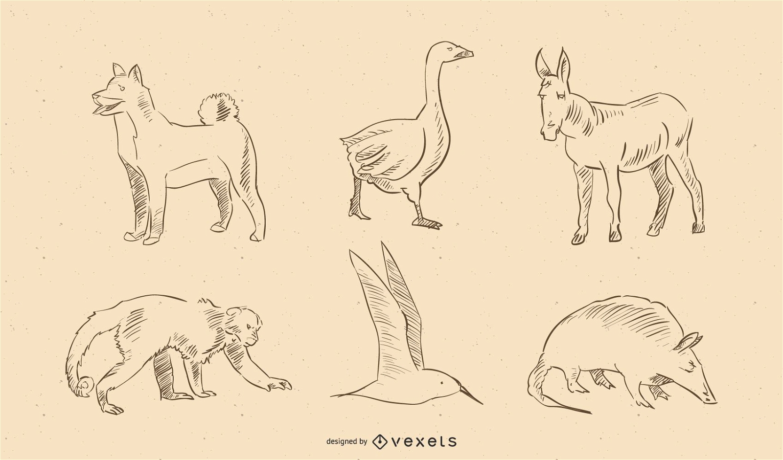 Animals Vector