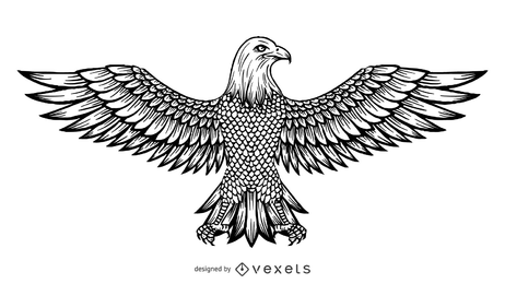 Desenho vetorial da águia