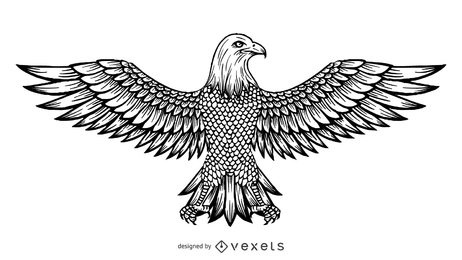 Dibujo lineal del vector del águila Dibujo lineal del vector del águila