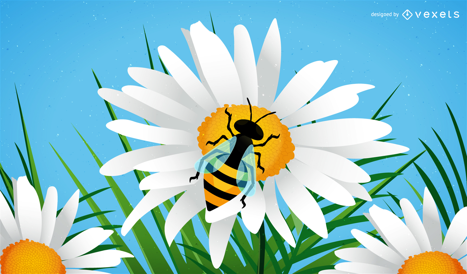 Bee and flower Vector