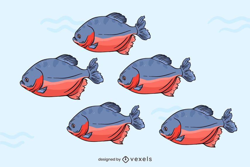 Piranha Vector Original Piranha Vector Original