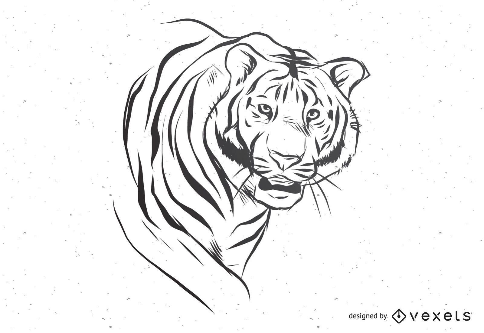 Vetor de tigre preto e branco