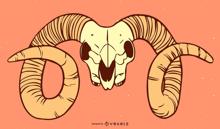 Goat Skull Illustration - Vector Download