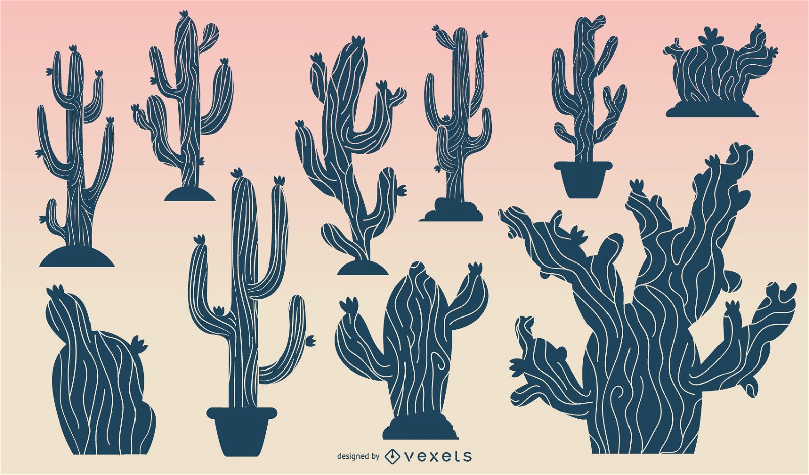 Kaktus im Wüstensonnenaufgang