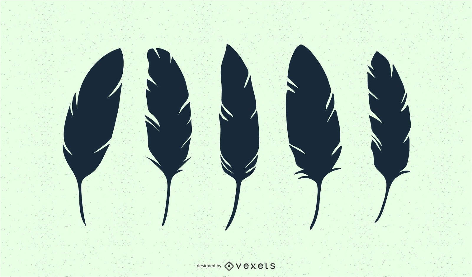 Feather 01 Vector