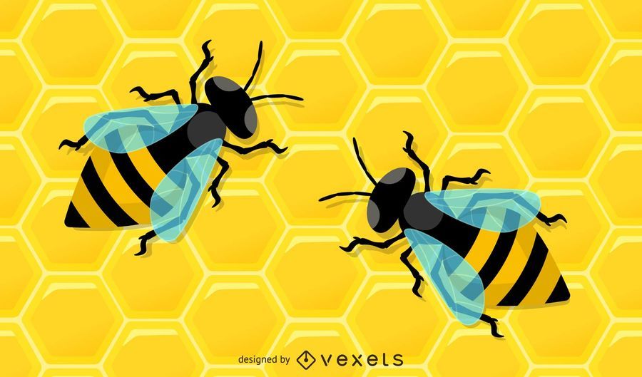Vector Honey Bees Collected Vector Honey Bees Collected