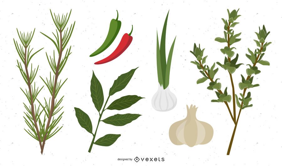 Spices Vector Spices Vector