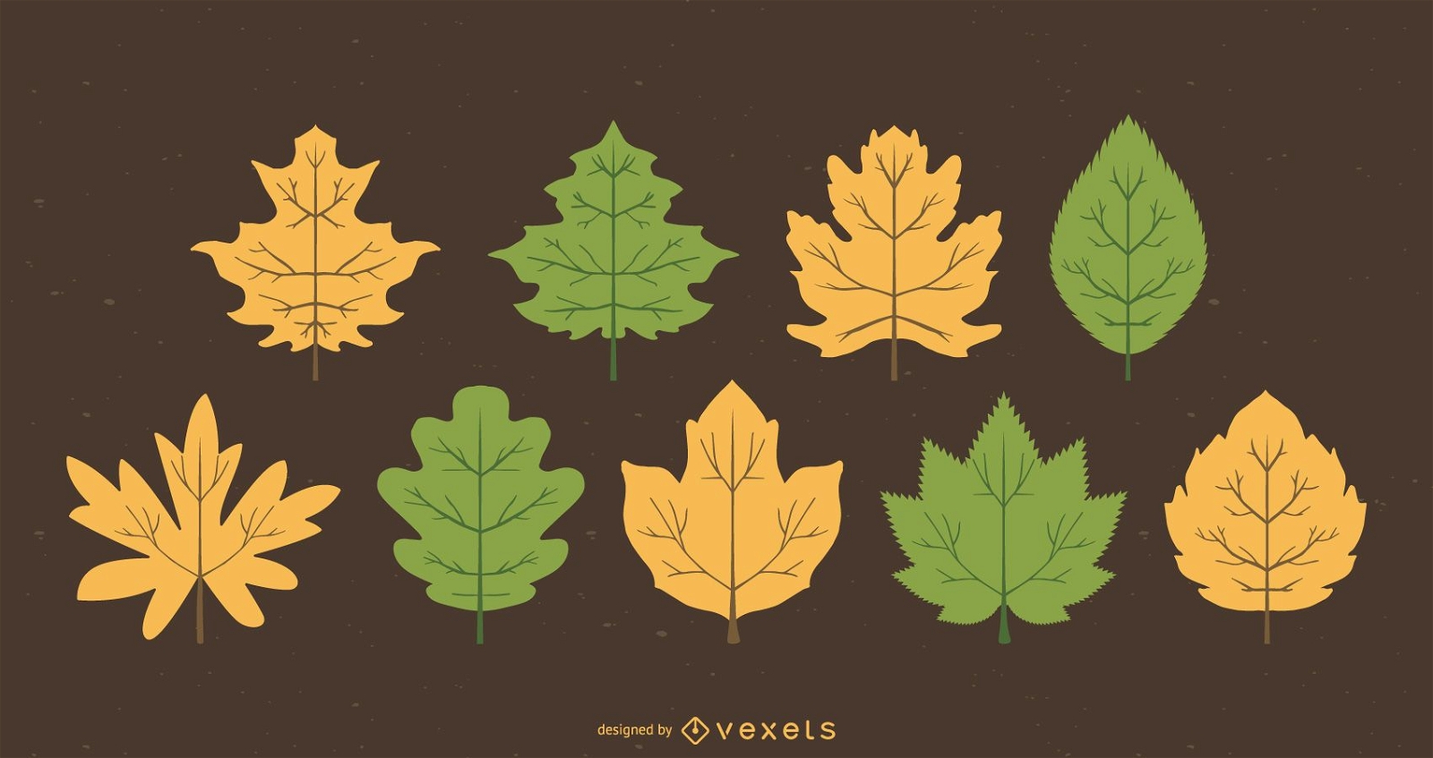Green and yellow leaves set