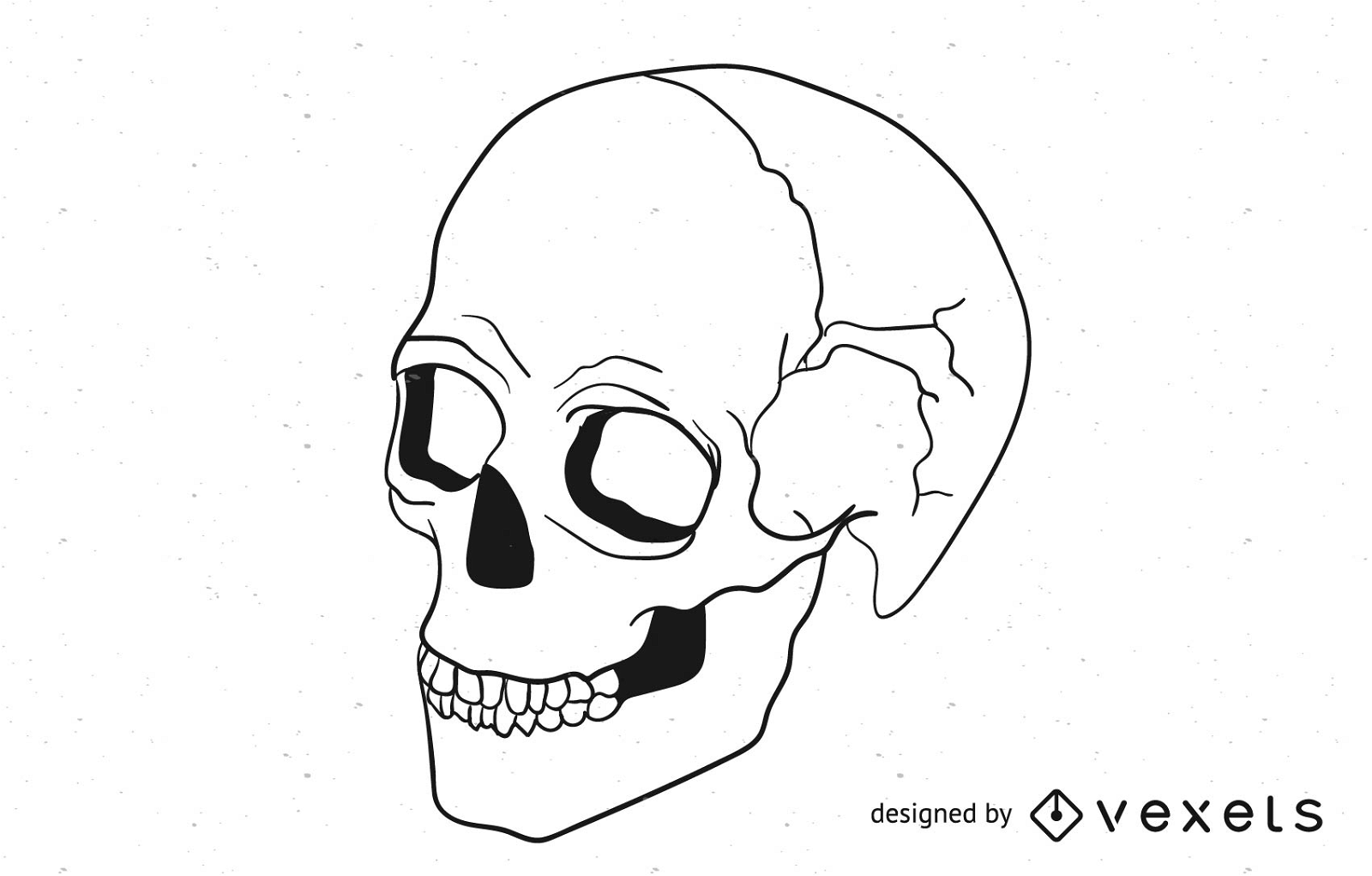 Skull Vector 2