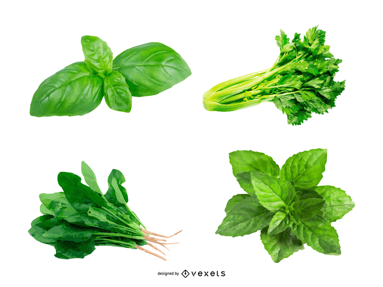 Herbal Leaves 03 Vector Herbal Leaves 03 Vector