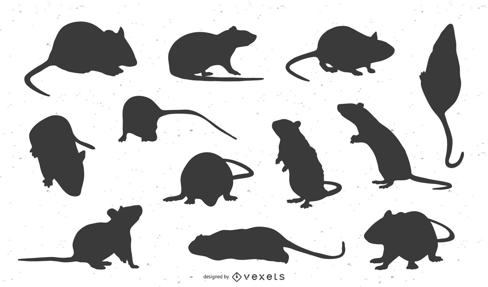 conjunto de silhueta de animais de ratos