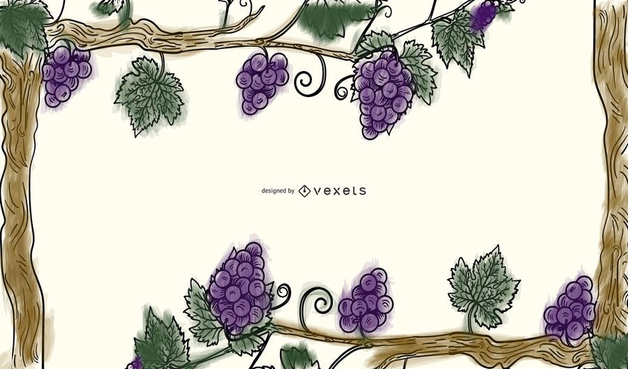 Uvas Vines Uva Hoja Frontera Vector Uvas Vines Uva Hoja Frontera Vector