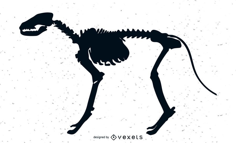 Huesos de perro Huesos de perro