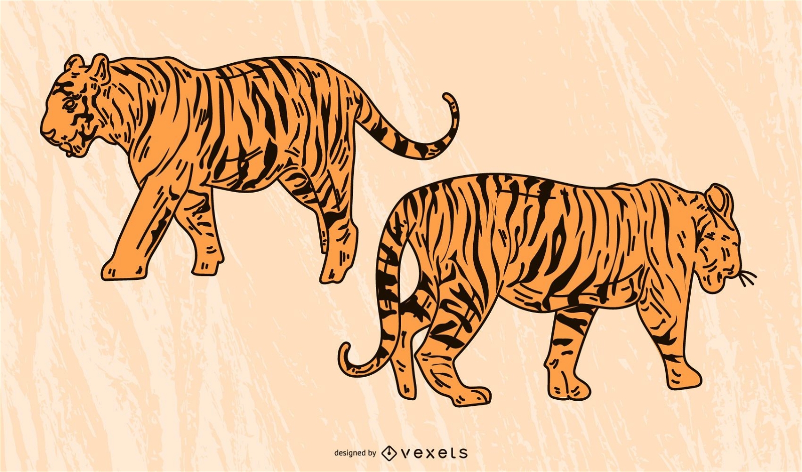 The Tiger Picture 12 Vector
