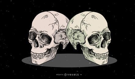 Skulls illustration design