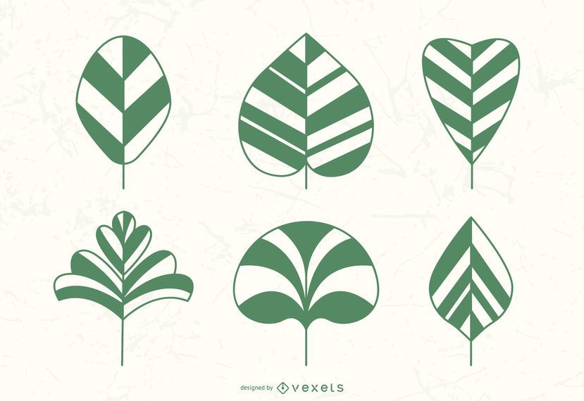 Plant Leaves Vectors Plant Leaves Vectors