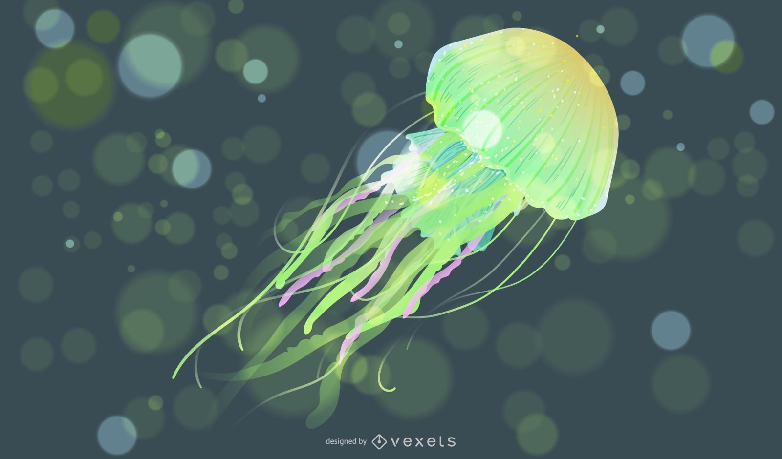 Illustrated jellyfish in green