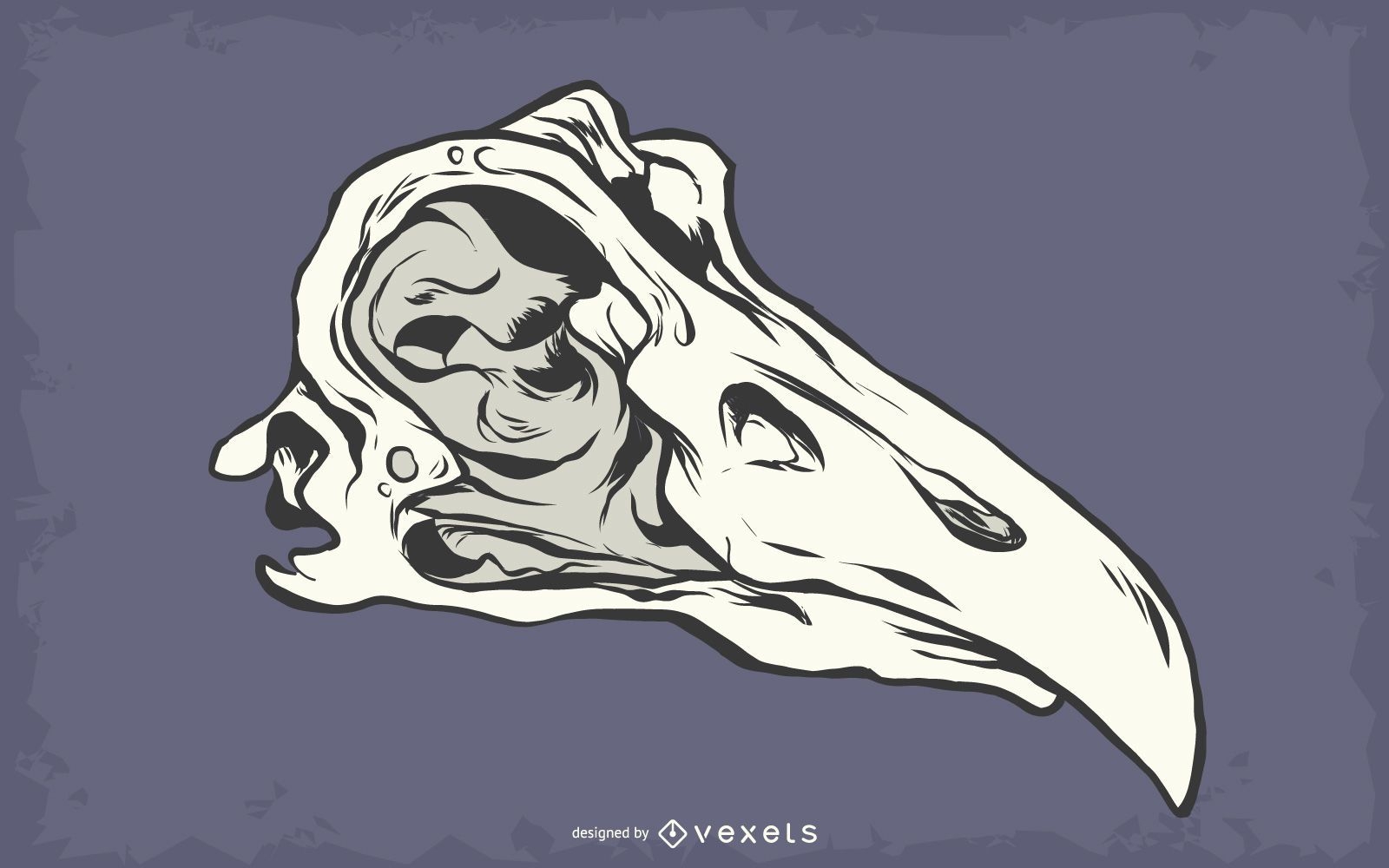 Esqueleto animal osso