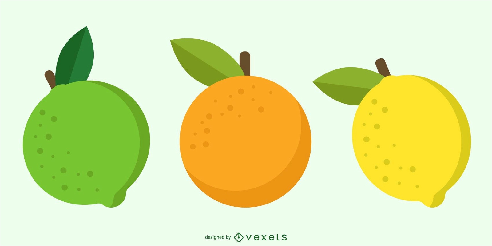 Free Citrus Fruit Vector