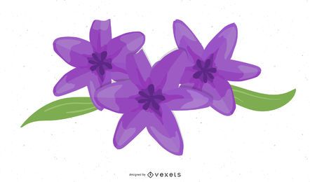 Lilie voller Blüte Lilie voller Blüte