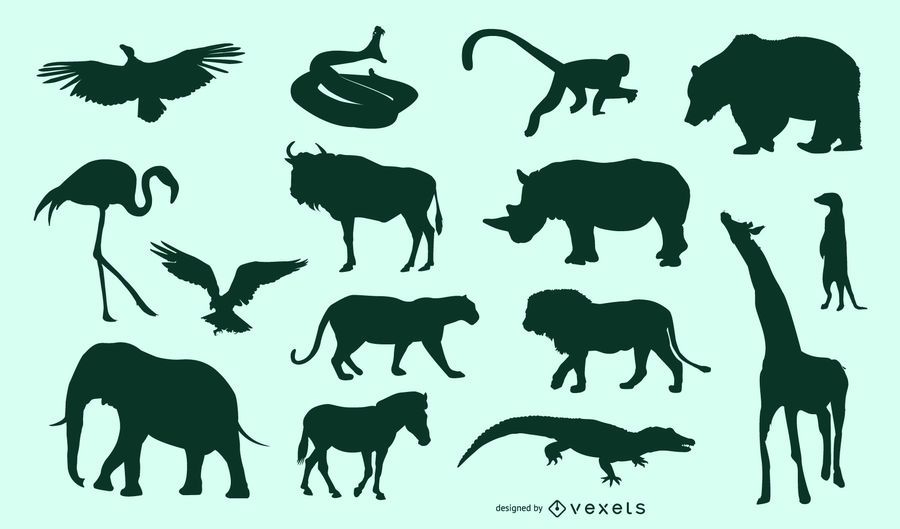 African Animals Set African Animals Set