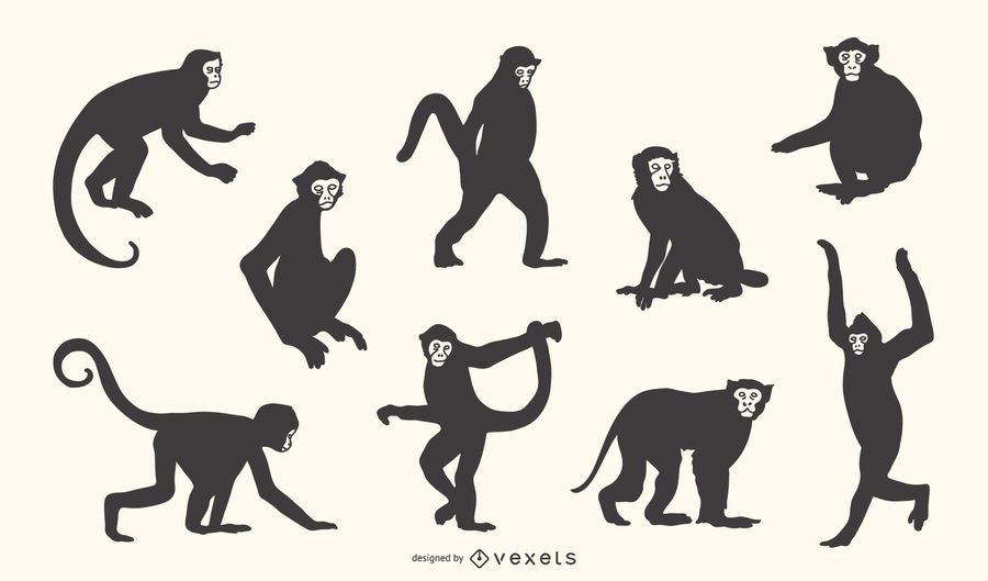 Capuchin Monkey Silhouette Set Capuchin Monkey Silhouette Set