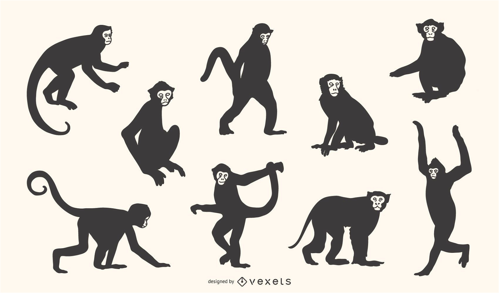Conjunto de silueta de mono capuchino