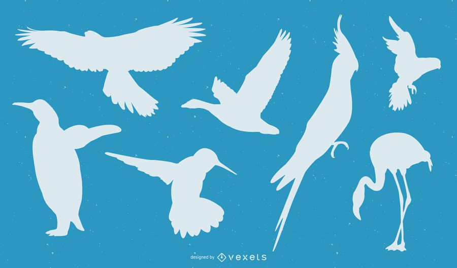 Free Vector Birds Free Vector Birds
