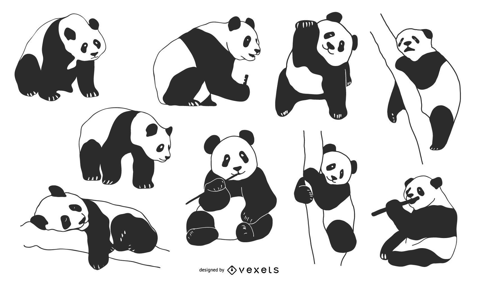 Vectores de panda