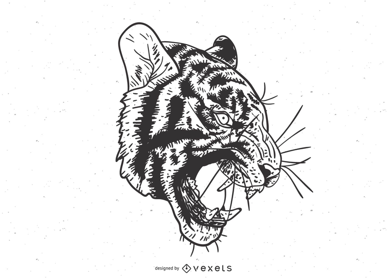 El vector de la imagen del tigre 14 El vector de la imagen del tigre 14